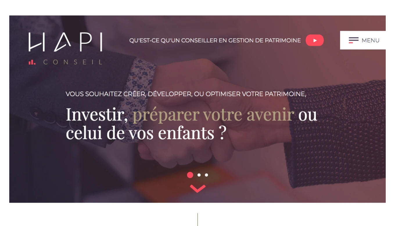 Hapi Conseil